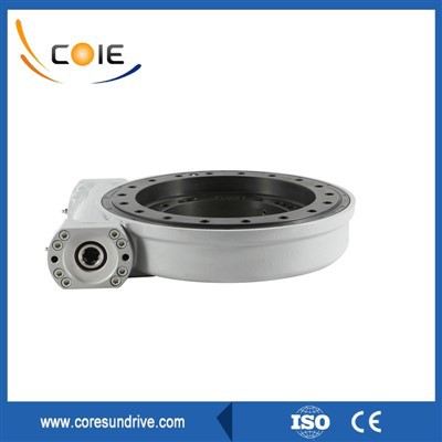 Hourglass Worm Gear Drive Swing Ring
